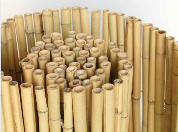 valla de bambú 