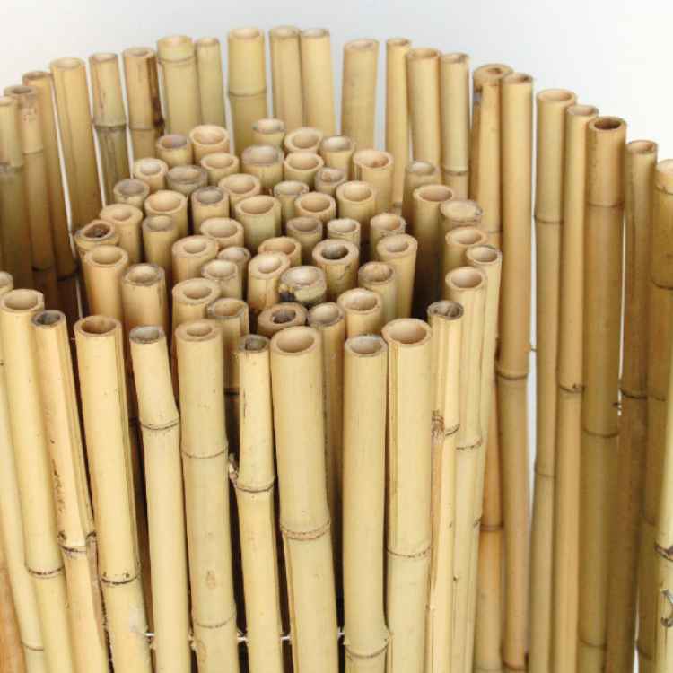 Natural Bamboo Reed Fence Rolls